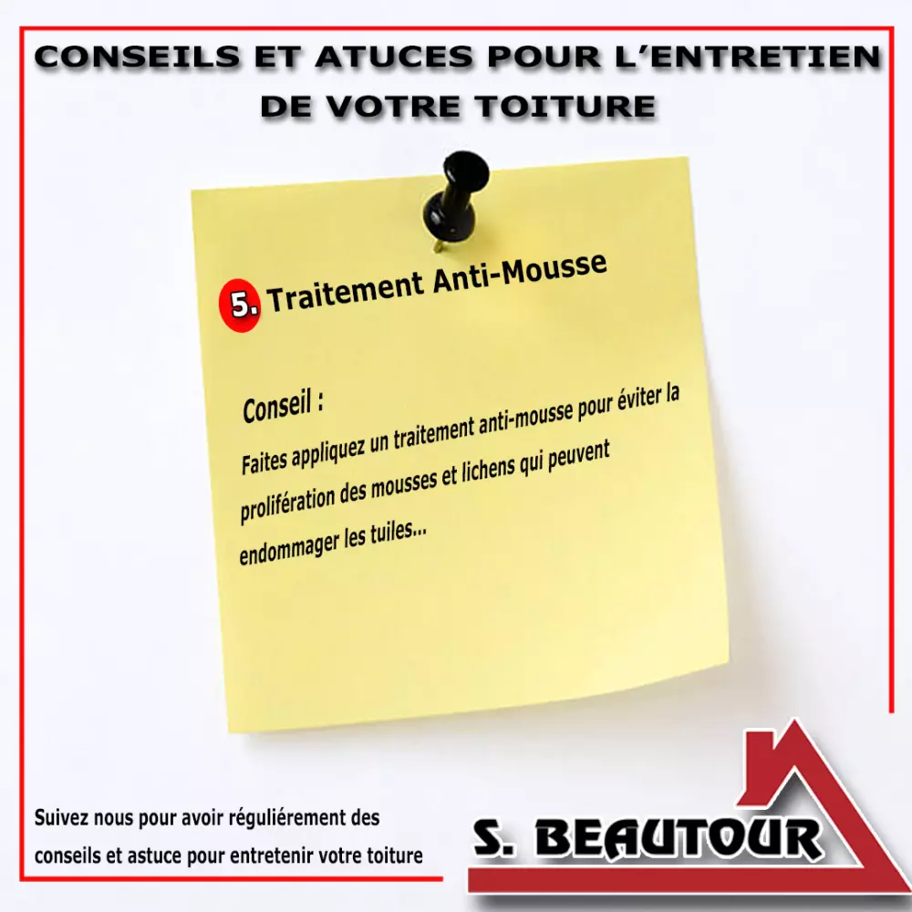 Traitement Antimousse De Toiture : Protégez Votre Toit Des Végétaux Nuisibles