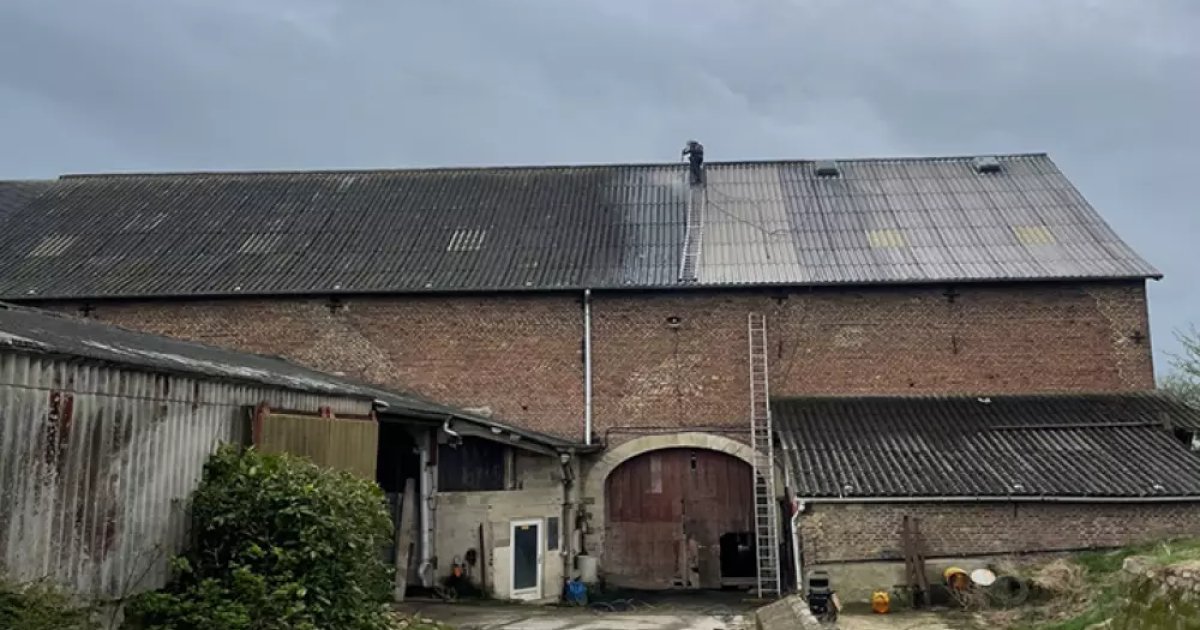 Comment éliminer La Mousse De Votre Toiture Avec Des Solutions Naturelles ?