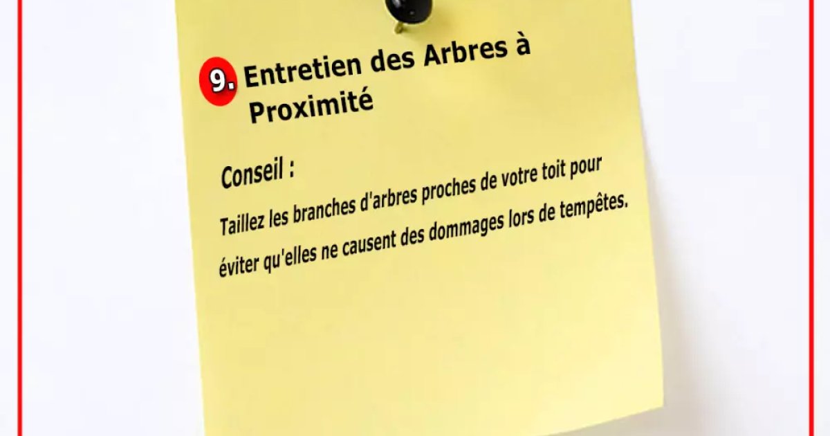 Entretien Des Arbres à Proximité : Protéger Votre Toiture Et Votre Maison