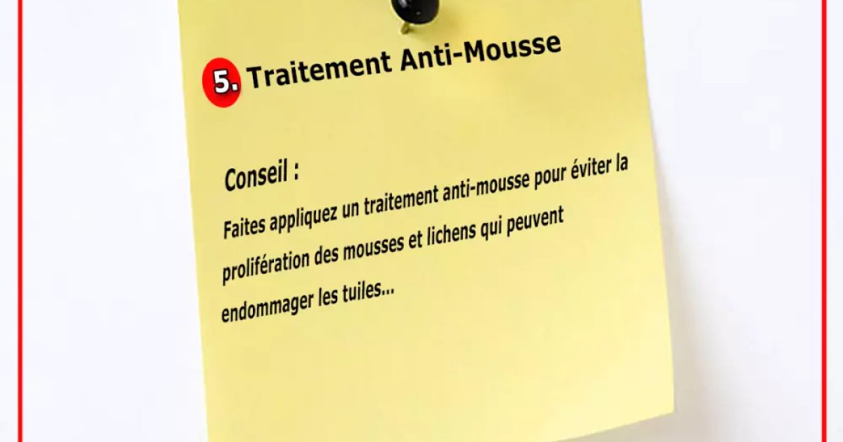 Traitement Antimousse De Toiture : Protégez Votre Toit Des Végétaux Nuisibles